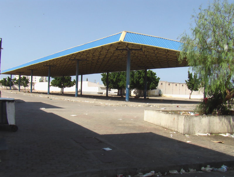 Kamelmarkt Sousse Tunesien Souk El Ahad